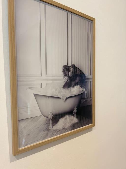 Le Nid Douillet Nanceien Daire Nancy Dış mekan fotoğraf